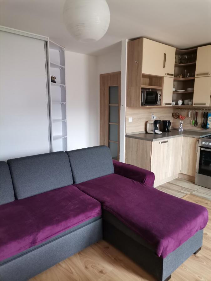 Apartman Family S Vyhladom Na Choc Лучки Екстер'єр фото